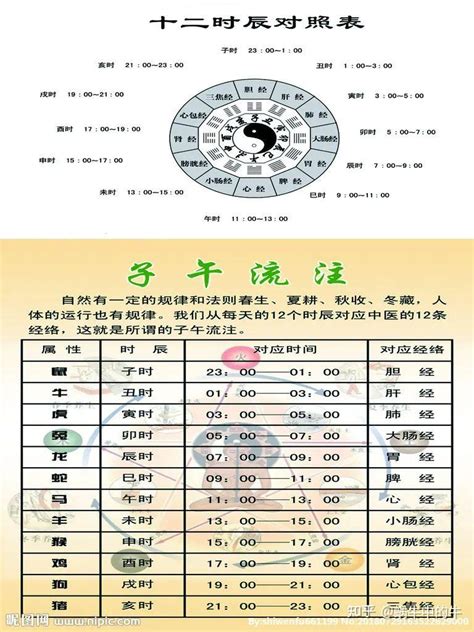 地支表|天支地支 十二时辰对照表